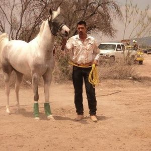 Meet your Posher, Ivan